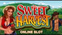 Sweet harvest slot